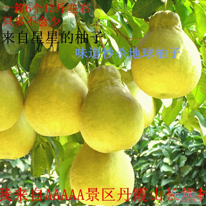 ͼƬ2.jpg
